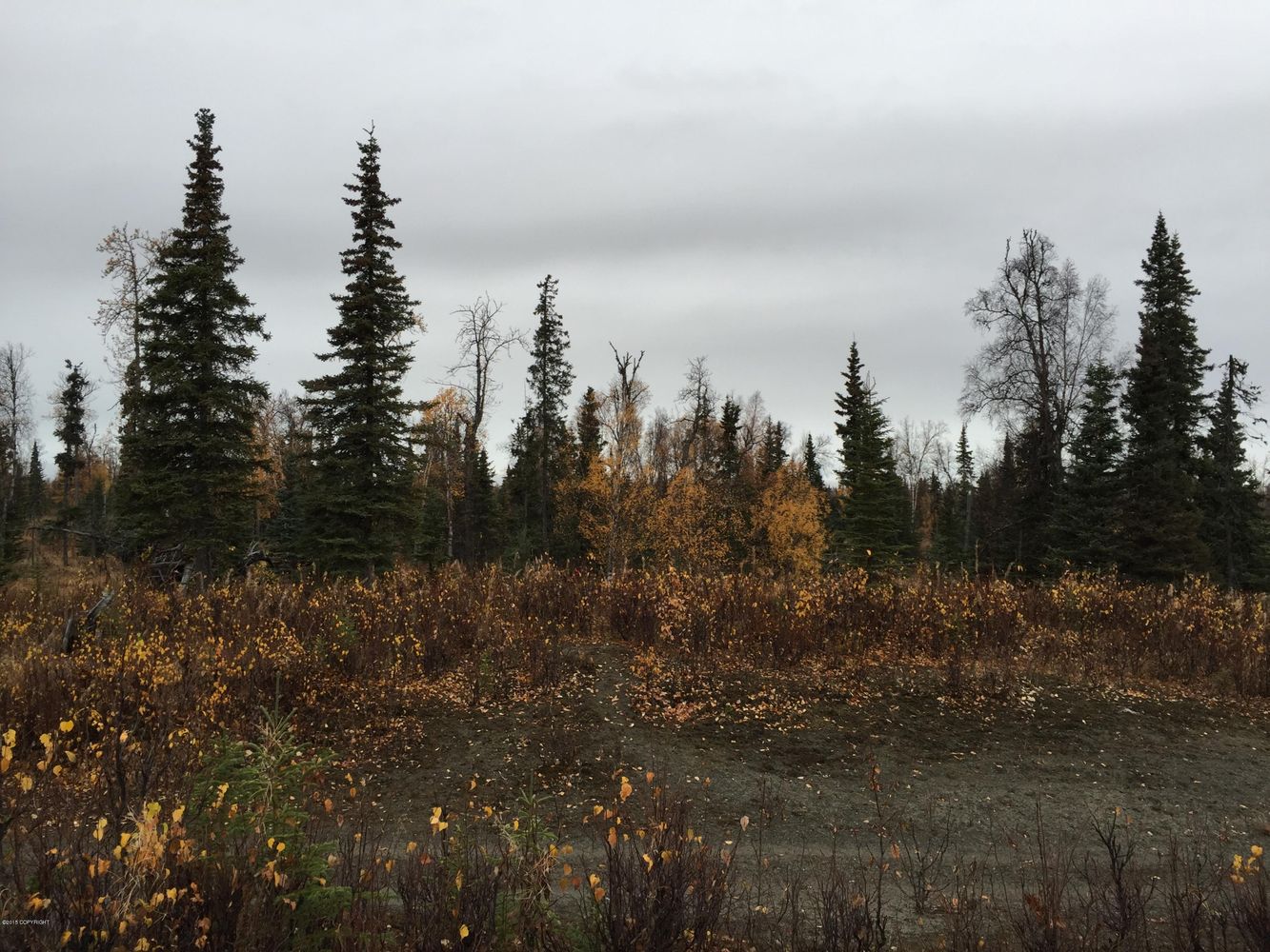 63885 Tailwind Rd, Ninilchik, AK 99639